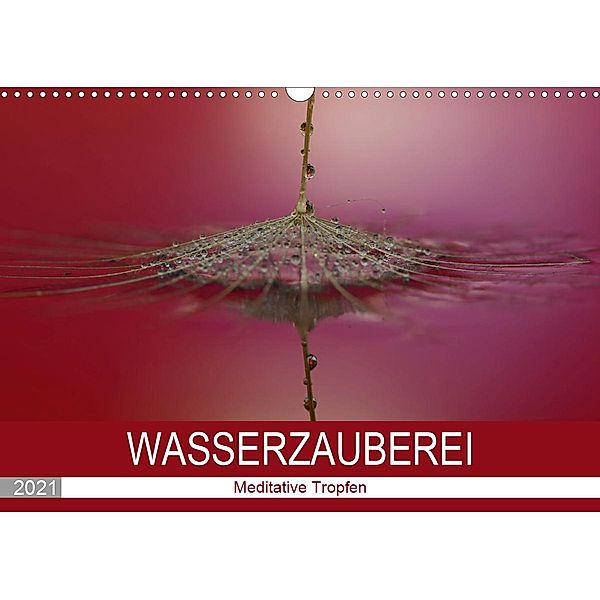 Wasserzauberei (Wandkalender 2021 DIN A3 quer), Anna Kropf