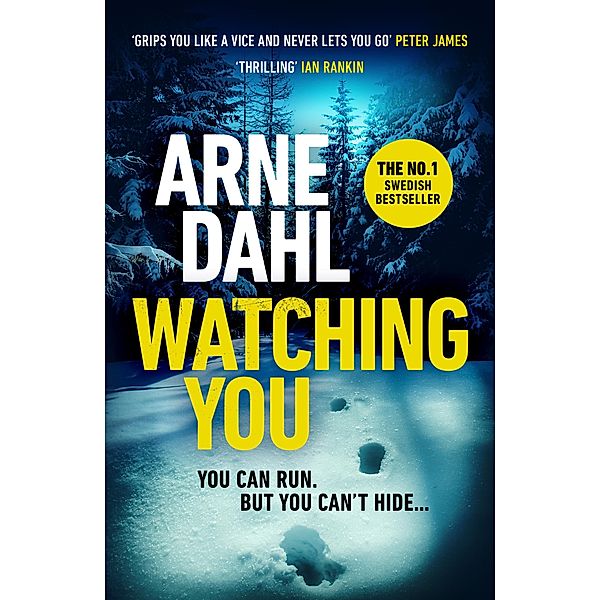 Watching You / Sam Berger Series Bd.1, Arne Dahl