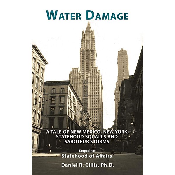 Water Damage, Daniel R. Cillis Ph. D.