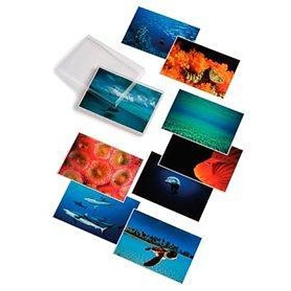 Water Light Time, Postcards, David Doubilet, Water Light Time Postcards