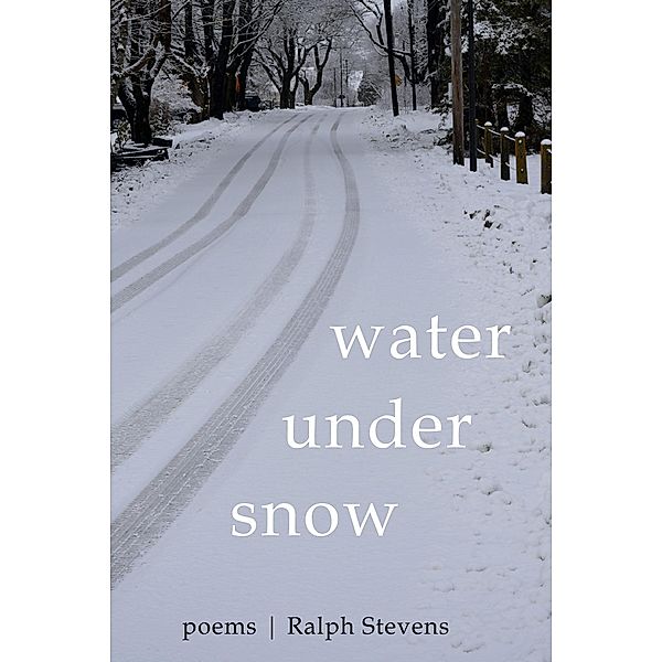 Water under Snow, Ralph Stevens