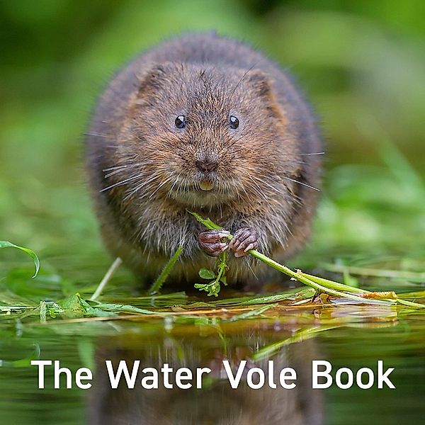 Water Vole Book, Hugh Warwick