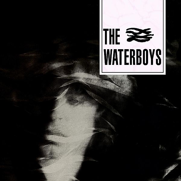 Waterboys, Waterboys