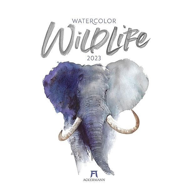 Watercolor Wildlife Kalender 2023, Ackermann Kunstverlag