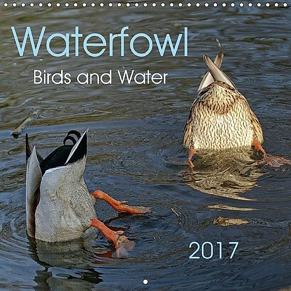 Waterfowl Birds and Water (Wall Calendar 2017 300 × 300 mm Square), Peter Hebgen