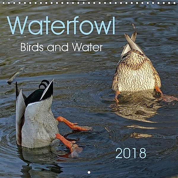Waterfowl Birds and Water (Wall Calendar 2018 300 × 300 mm Square), Peter Hebgen
