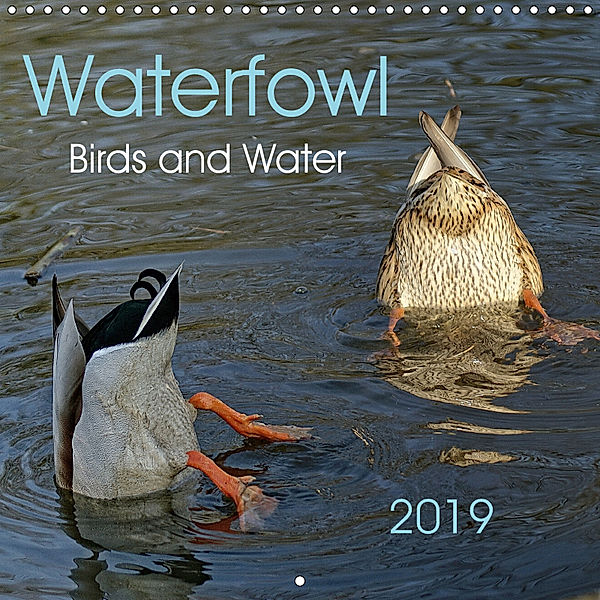 Waterfowl Birds and Water (Wall Calendar 2019 300 × 300 mm Square), Peter Hebgen