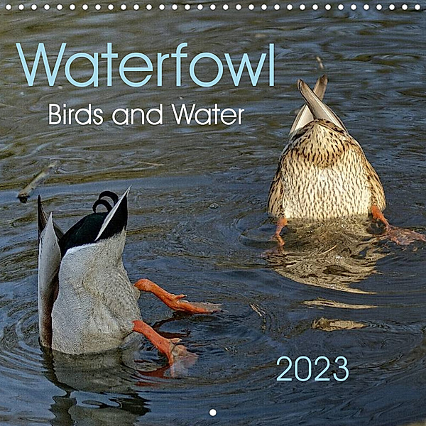 Waterfowl Birds and Water (Wall Calendar 2023 300 × 300 mm Square), Peter Hebgen