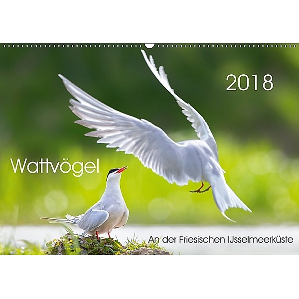Wattvögel an der Friesischen IJsselmeerküste (Wandkalender 2018 DIN A2 quer), Thomas Will