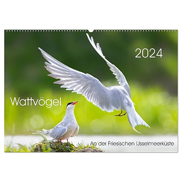Wattvögel an der Friesischen IJsselmeerküste (Wandkalender 2024 DIN A2 quer), CALVENDO Monatskalender, Thomas Will