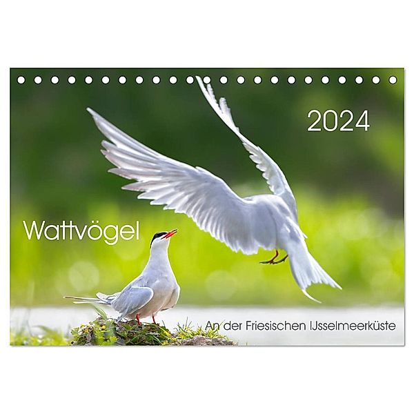 Wattvögel an der Friesischen IJsselmeerküste (Tischkalender 2024 DIN A5 quer), CALVENDO Monatskalender, Thomas Will