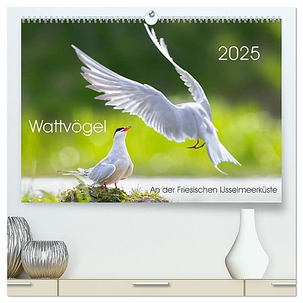 Wattvögel an der Friesischen IJsselmeerküste (hochwertiger Premium Wandkalender 2025 DIN A2 quer), Kunstdruck in Hochglanz, Calvendo, Thomas Will