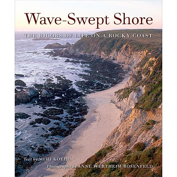 Wave-Swept Shore, Mimi A. R. Koehl