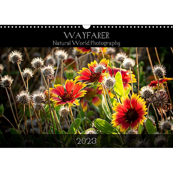 Wayfarer Natural World Photography (Wall Calendar 2023 DIN A3 Landscape), Drew Tri