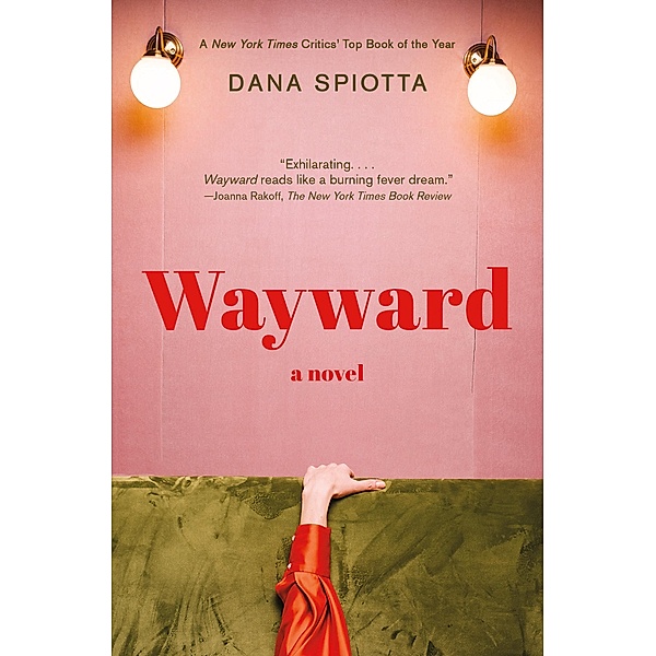 Wayward, Dana Spiotta