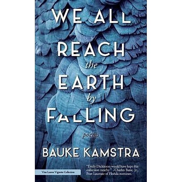 We All Reach the Earth by Falling / Vine Leaves Press, Bauke Kamstra