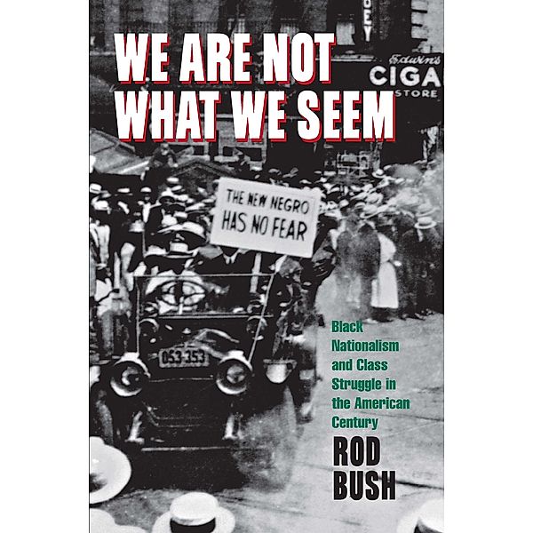 We Are Not What We Seem, Roderick D. Bush