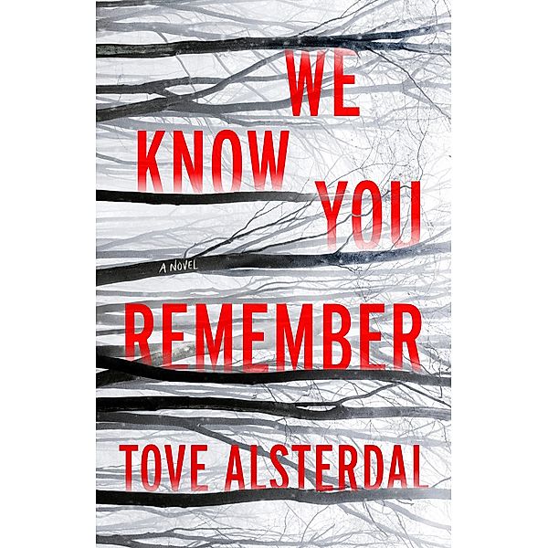 We Know You Remember / The High Coast Series Bd.1, Tove Alsterdal