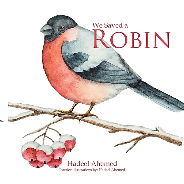We Saved a Robin, Hadeel Ahemed