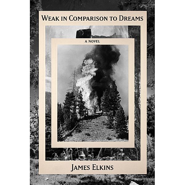 Weak in Comparison to Dreams, James Elkins