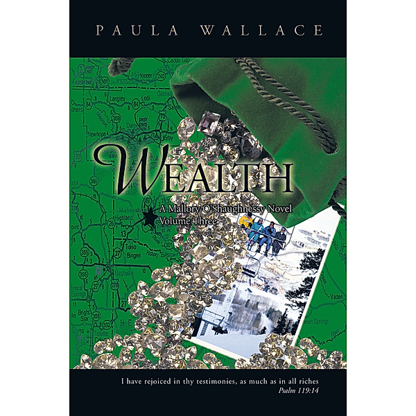 Wealth: a Mallory O’Shaughnessy Novel, Paula Rae Wallace