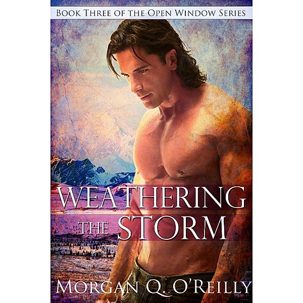 Weathering the Storm / Open Window Bd.3, Morgan Q O'Reilly