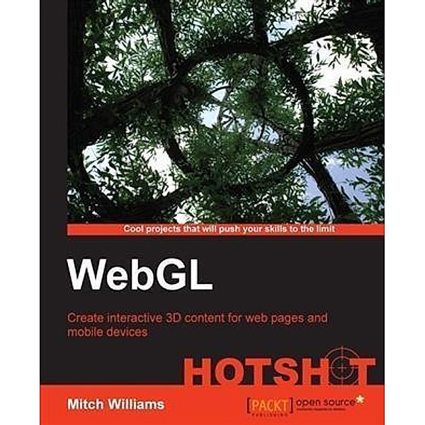 WebGL HOTSHOT, Mitch Williams