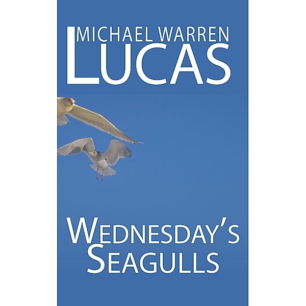 Wednesday's Seagulls, Michael Warren Lucas