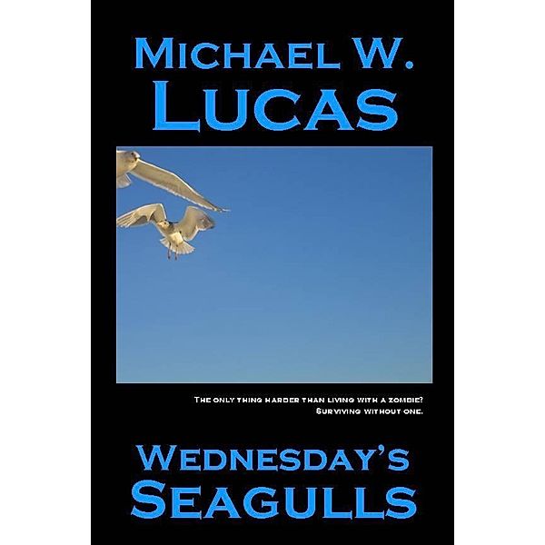 Wednesday's Seagulls / Tilted Windmill Press, Michael Warren Lucas