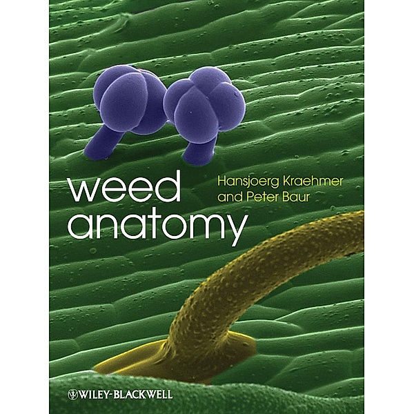 Weed Anatomy, Hansjoerg Kraehmer, Peter Baur