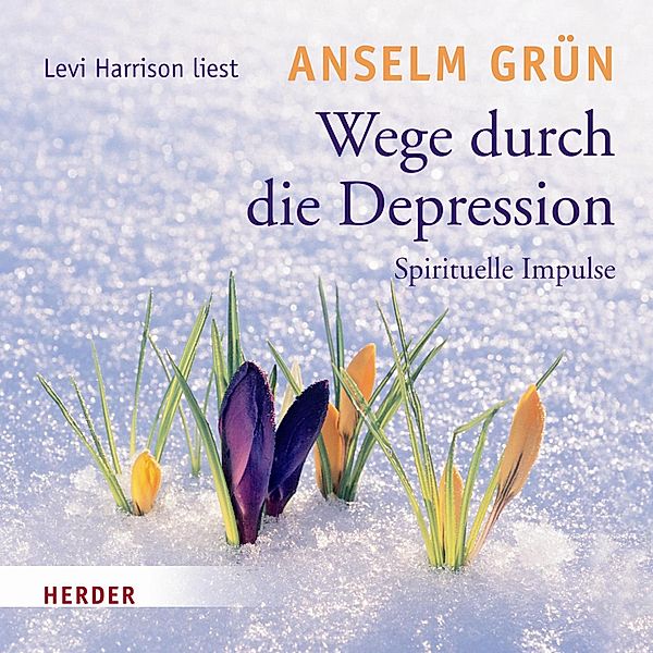 Wege durch die Depression, Anselm Grün