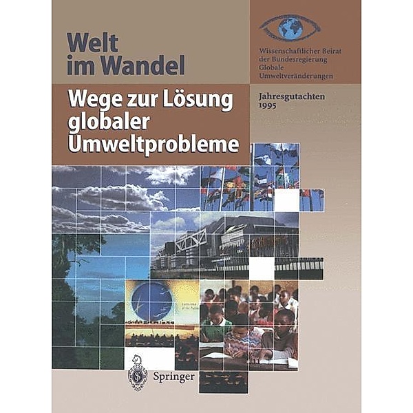 Wege zur Lösung globaler Umweltprobleme / Welt im Wandel Bd.1995
