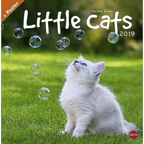 Wegler Little Cats 2019, Monika Wegler