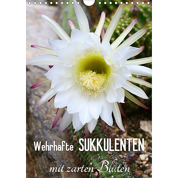 Wehrhafte Sukkulenten mit zarten Blüten (Wandkalender 2020 DIN A4 hoch), Gisela Kruse