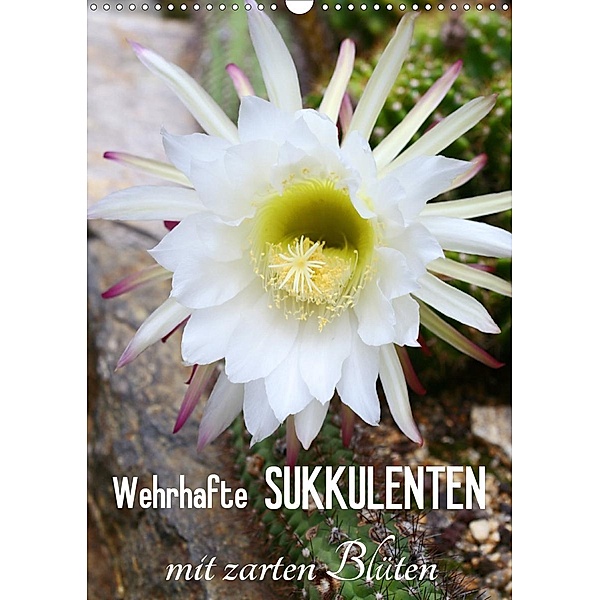 Wehrhafte Sukkulenten mit zarten Blüten (Wandkalender 2020 DIN A3 hoch), Gisela Kruse