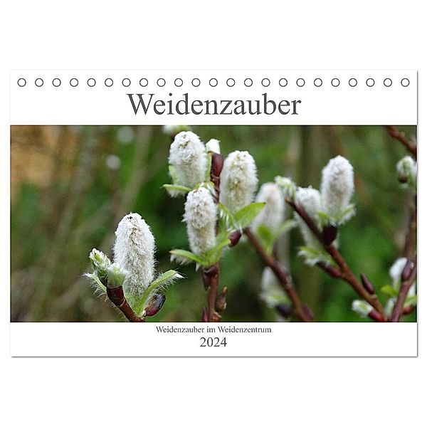 Weidenzauber (Tischkalender 2024 DIN A5 quer), CALVENDO Monatskalender, Susanne Friese