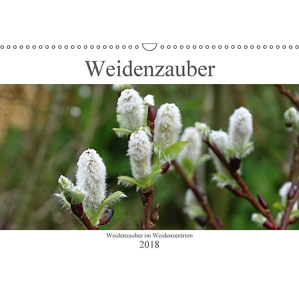 Weidenzauber (Wandkalender 2018 DIN A3 quer), Susanne Friese
