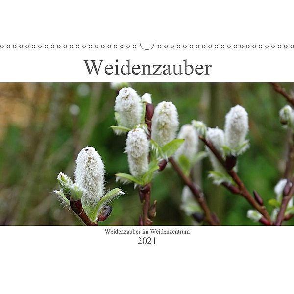 Weidenzauber (Wandkalender 2021 DIN A3 quer), Susanne Friese