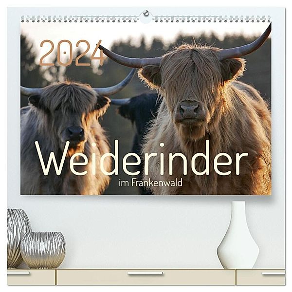 Weiderinder im Frankenwald (hochwertiger Premium Wandkalender 2024 DIN A2 quer), Kunstdruck in Hochglanz, Cordula Kelle-Dingel