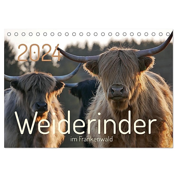 Weiderinder im Frankenwald (Tischkalender 2024 DIN A5 quer), CALVENDO Monatskalender, Cordula Kelle-Dingel