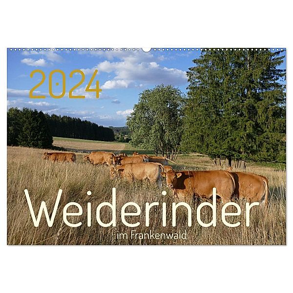 Weiderinder im Frankenwald (Wandkalender 2024 DIN A2 quer), CALVENDO Monatskalender, Cordula Kelle-Dingel