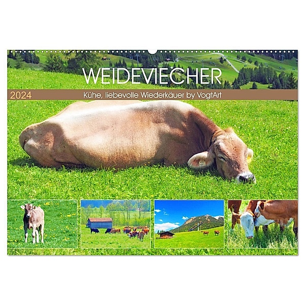 Weideviecher, Kühe liebevolle Wiederkäuer (Wandkalender 2024 DIN A2 quer), CALVENDO Monatskalender, VogtArt