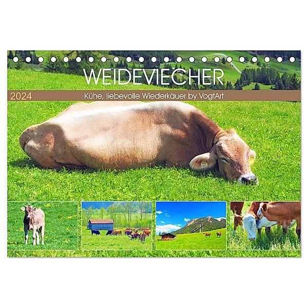 Weideviecher, Kühe liebevolle Wiederkäuer (Tischkalender 2024 DIN A5 quer), CALVENDO Monatskalender, VogtArt