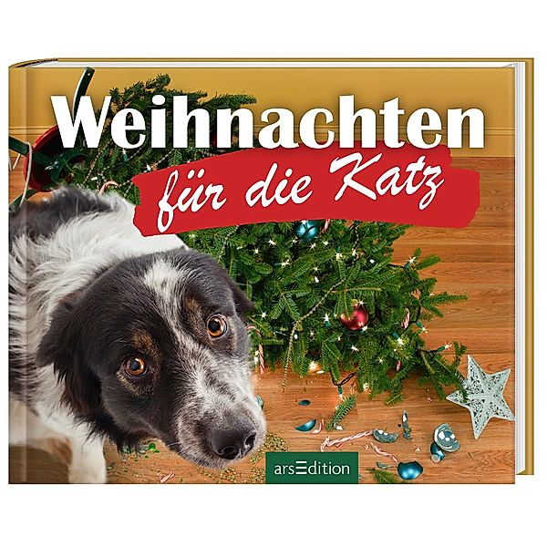 Weihnachten für die Katz, Paulus Vennebusch