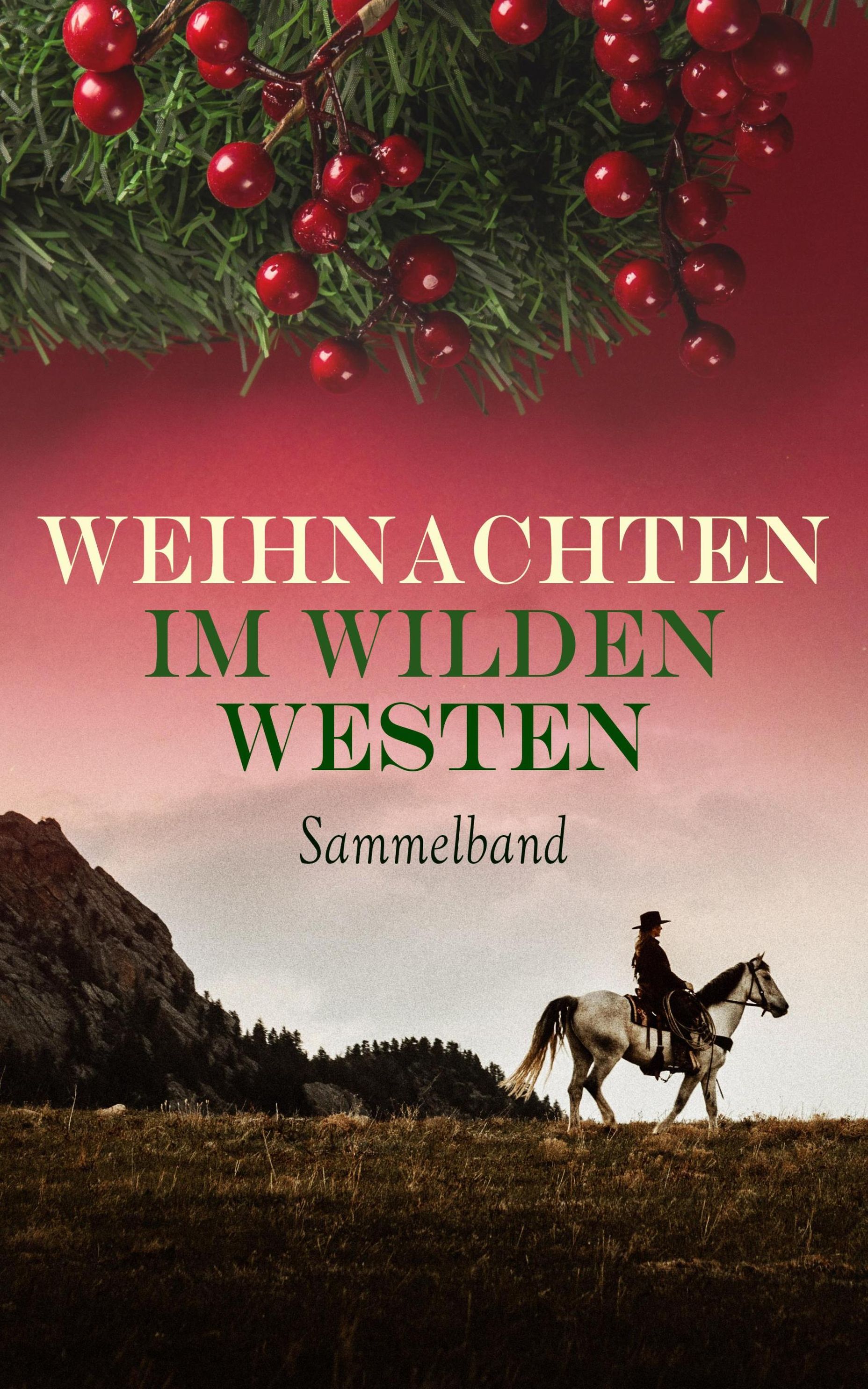 Weihnachten im Wilden Westen - Sammelband eBook v. Karl May u. weitere |  Weltbild