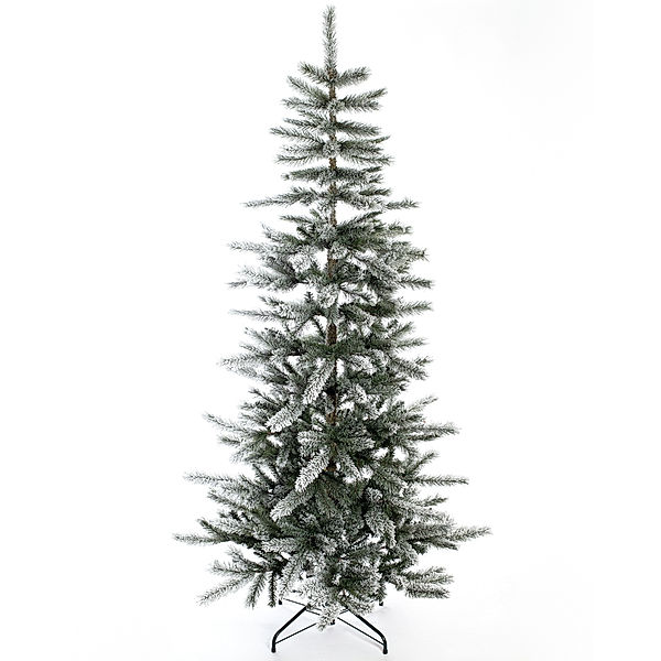 Weihnachtsbaum Cedar Frost I (Größe: 114x210cm)