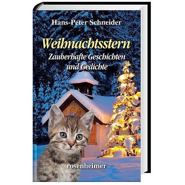 Weihnachtsstern, Hans-Peter Schneider