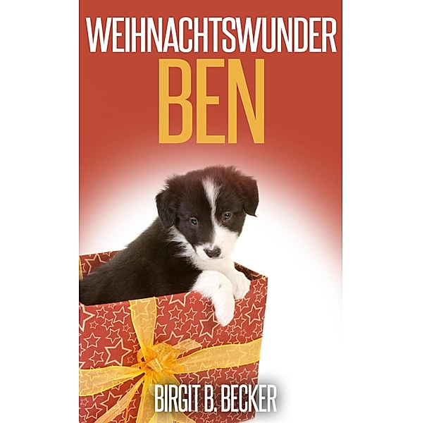 Weihnachtswunder Ben, Birgit B. Becker