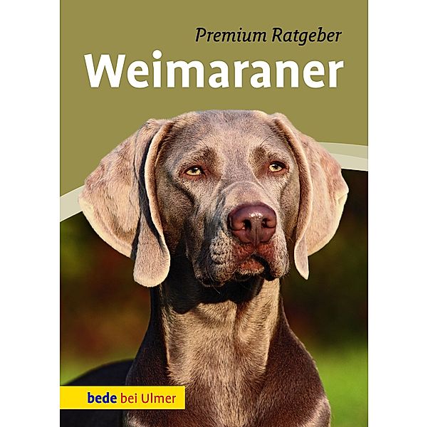 Weimaraner, Annette Schmitt