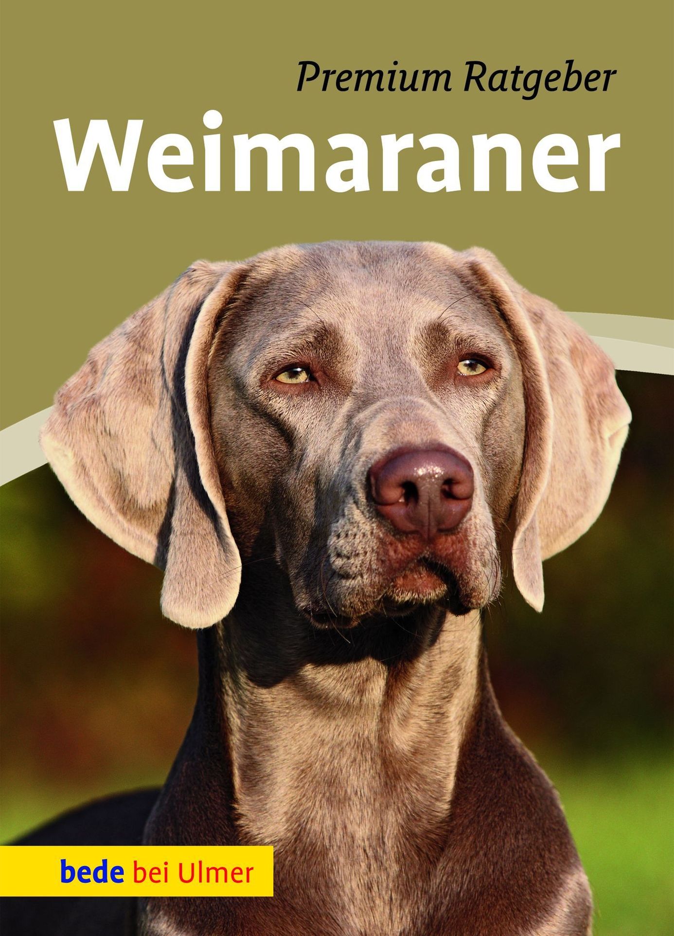 Weimaraner Buch von Annette Schmitt versandkostenfrei bei Weltbild.at